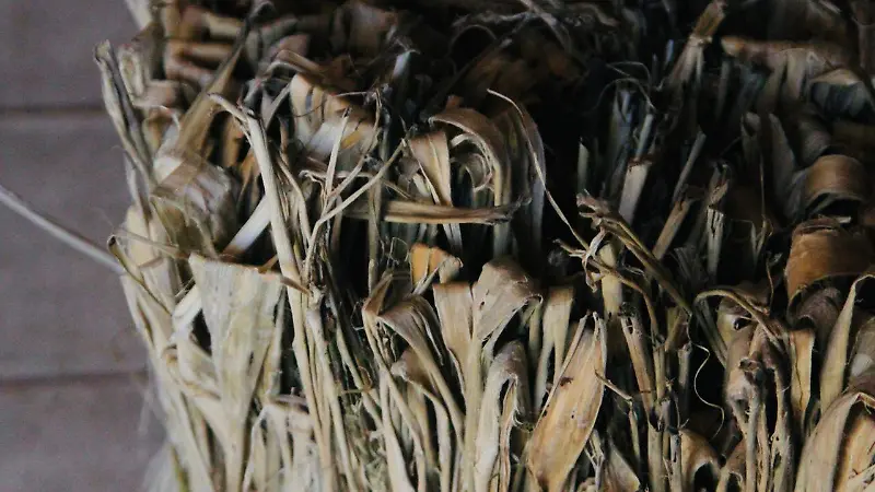 Museo Vivo del Papel, Coatepec